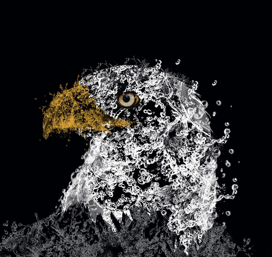 EAGLE