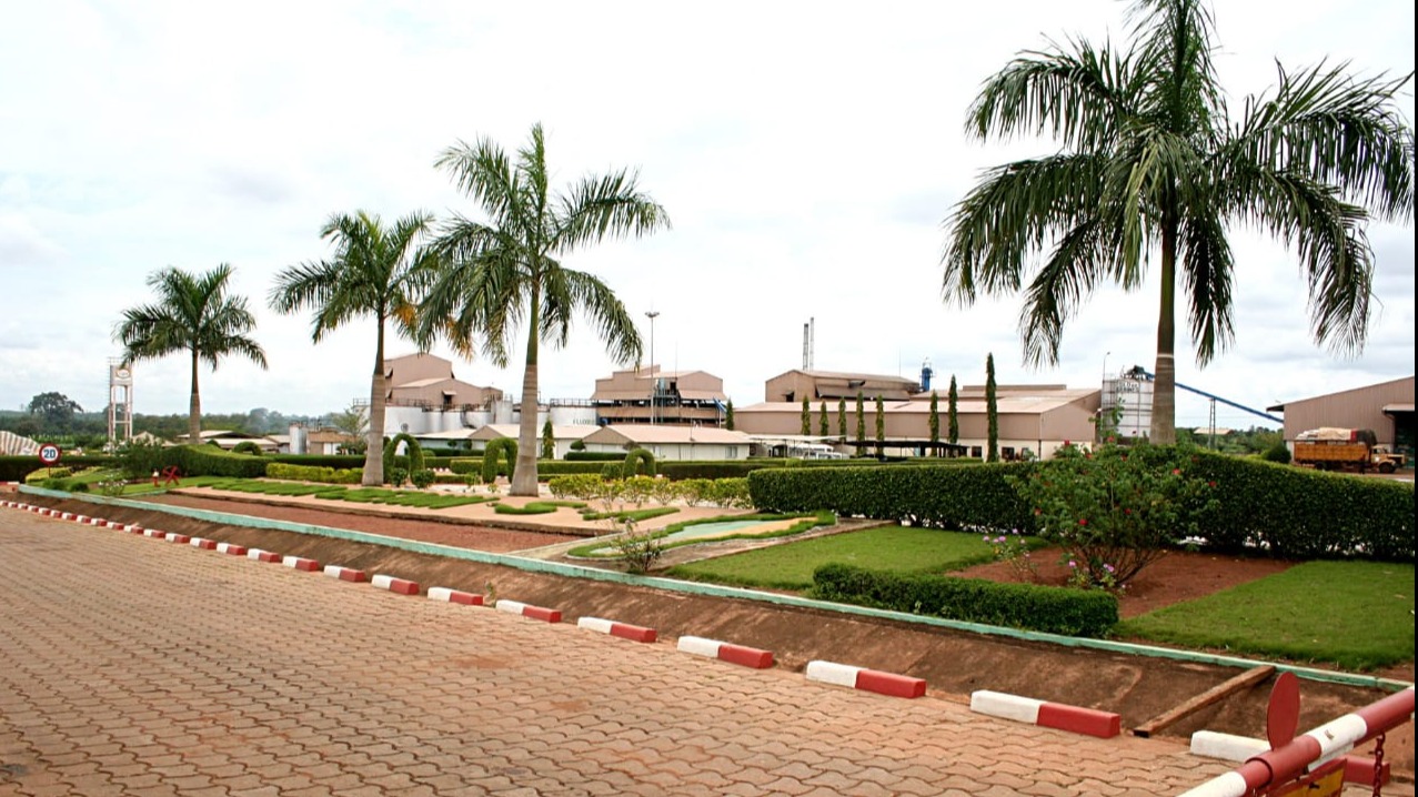 cropped-Ground-Shot-1